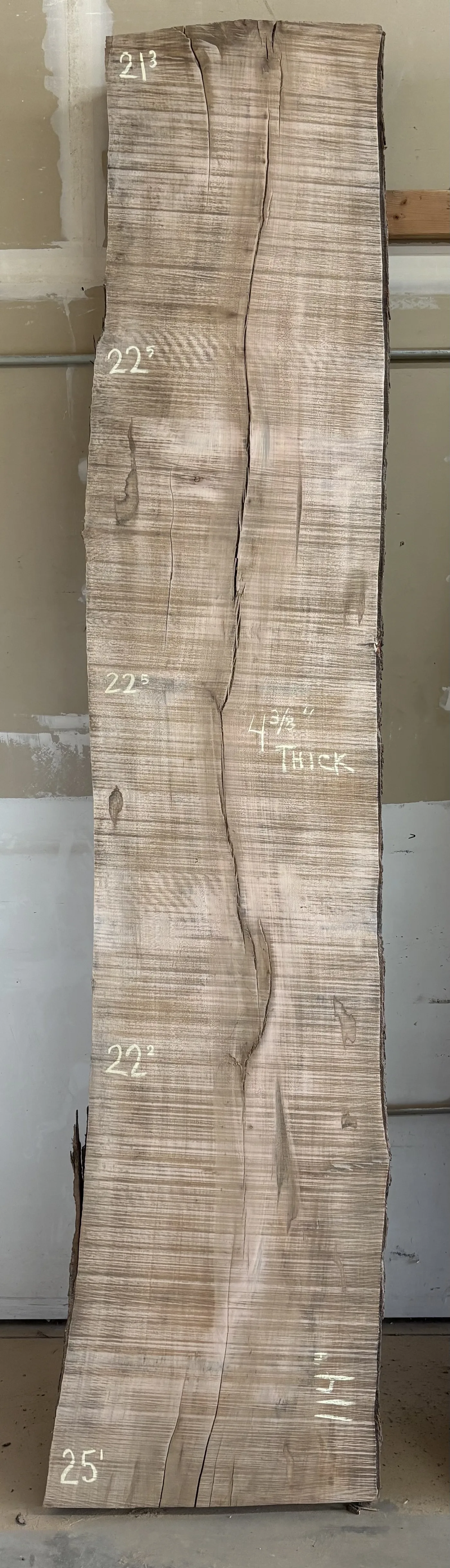 Maple Slab C — Maple live edge slab photo 1